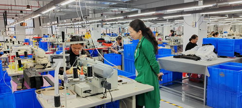 藍(lán)山委員提案助推產(chǎn)業(yè)大發(fā)展，央廣網(wǎng)聚焦社會(huì)經(jīng)濟(jì)咨詢服務(wù)