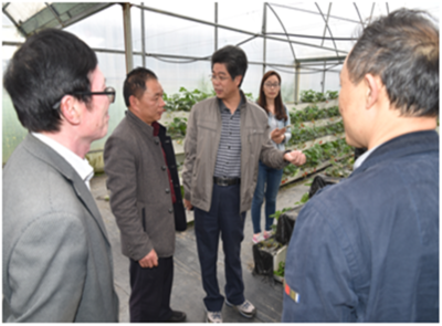 深耕產(chǎn)業(yè)一線，助力鄉(xiāng)村振興——園藝學(xué)院教工第二黨支部赴周寧、政和開展黨員活動(dòng)日活動(dòng)