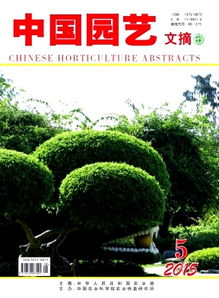 不同播種深度對馬鈴薯產量及構成因素的影響研究